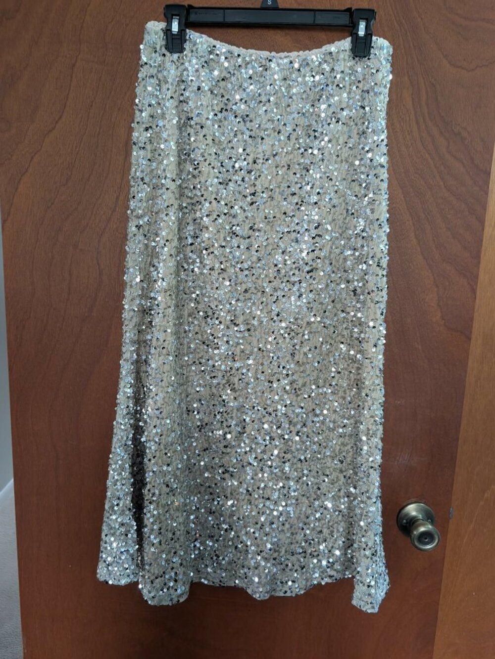 Sequin Skirt